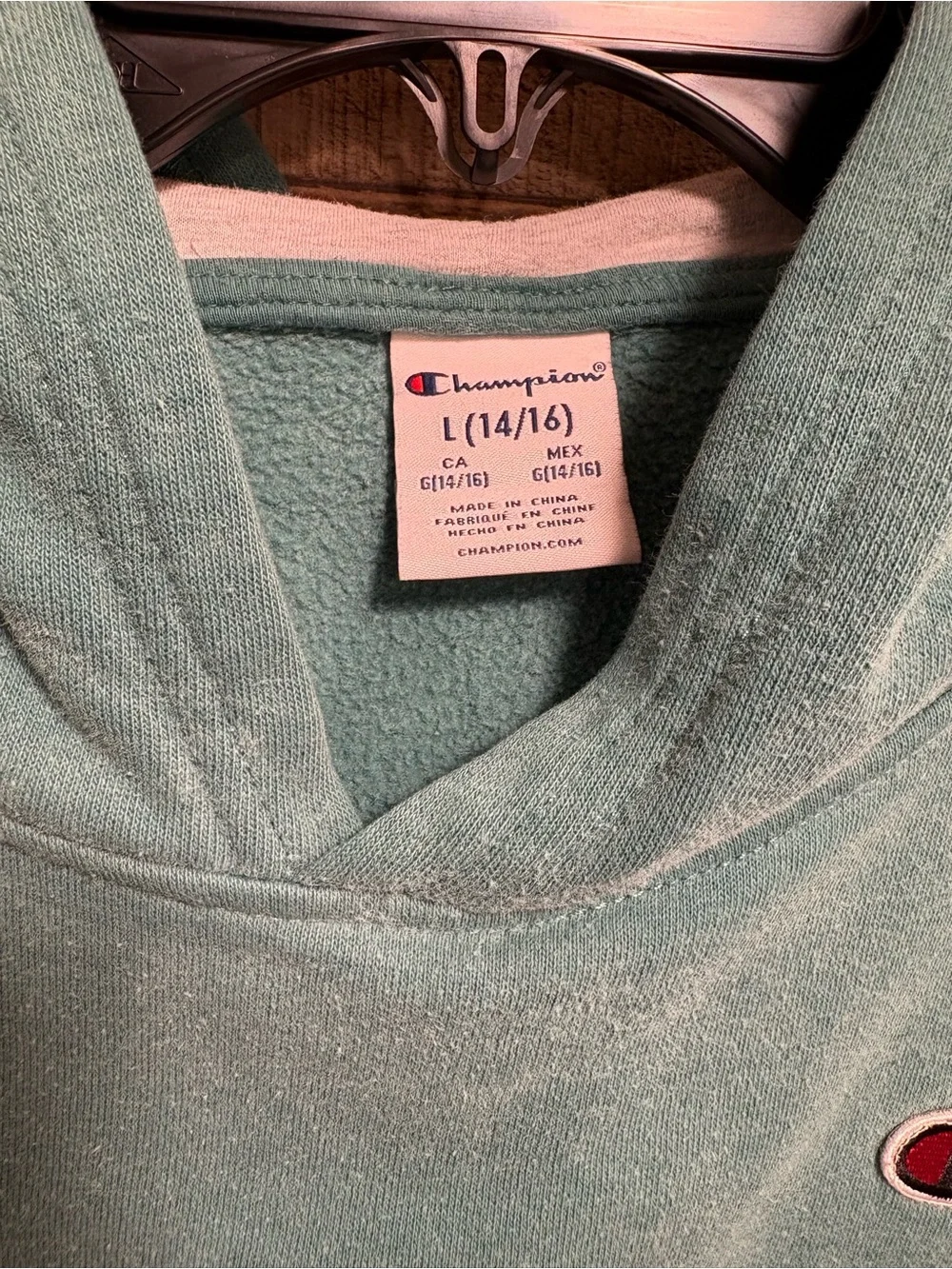 Champion Boys Hoodie Size L 14/16 Blue Green Pullover Sweatshirt K014